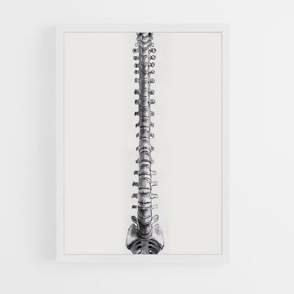 ap-spine-2 cadre Blanc