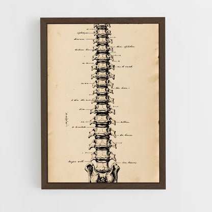 ap-spine-3 cadre Bois foncé