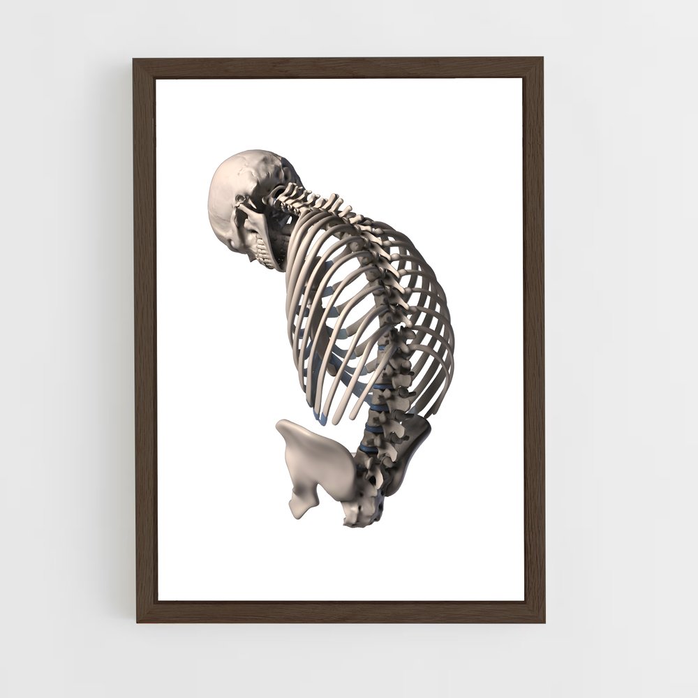 ap-spine-5 cadre Bois foncé