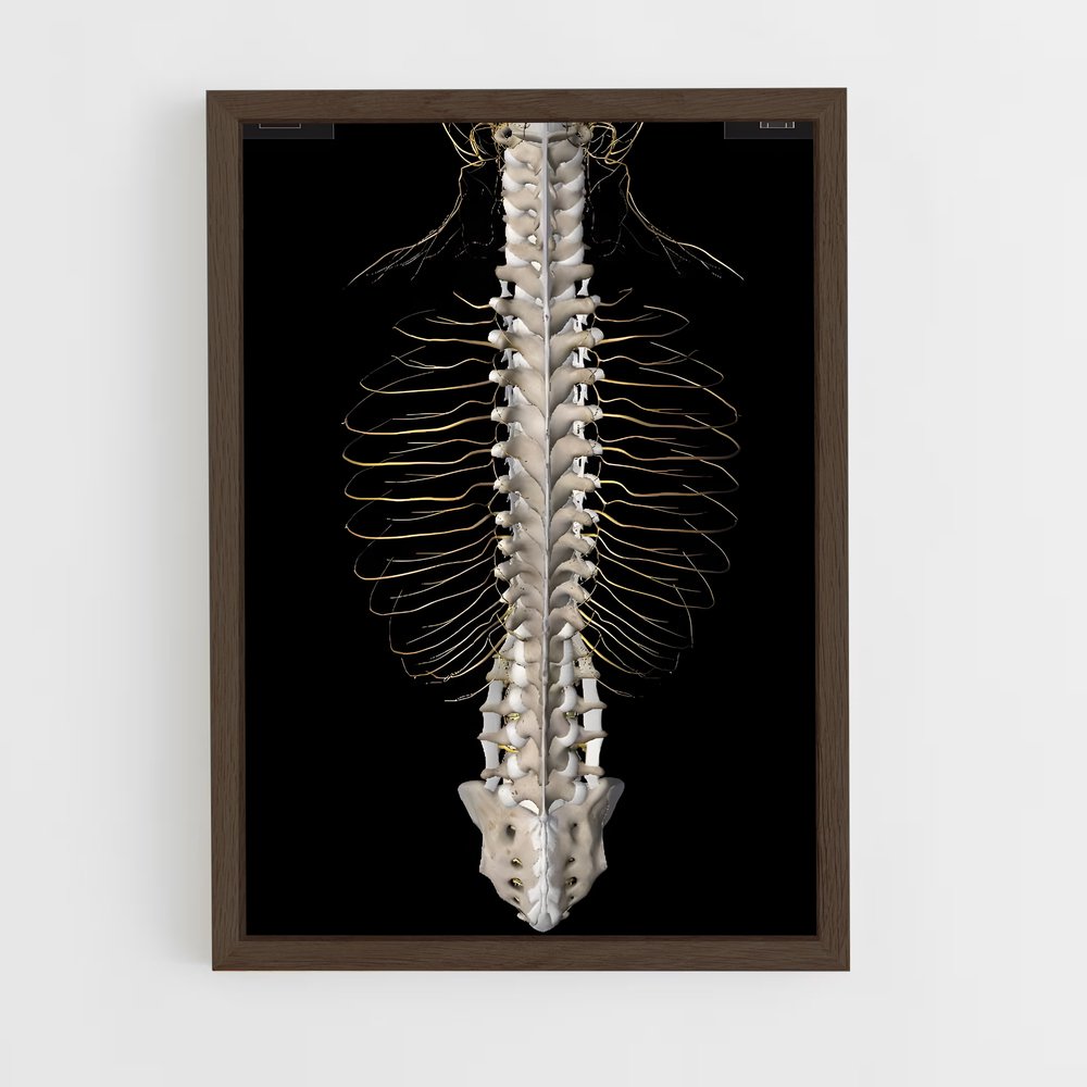 ap-spine-6 cadre Bois foncé