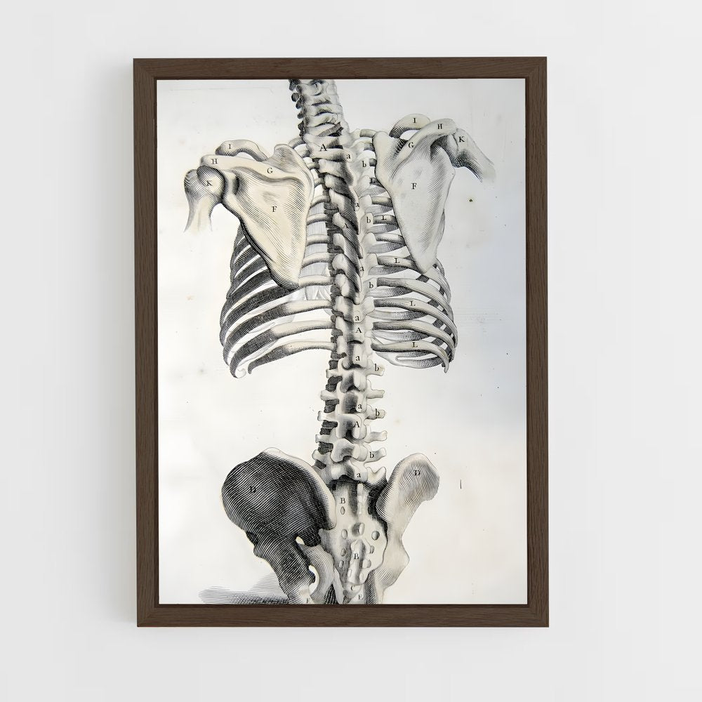 ap-spine-7 cadre Bois foncé