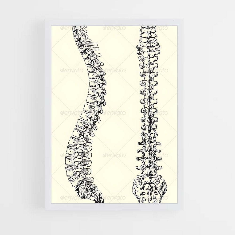 ap-spine-9 cadre Blanc