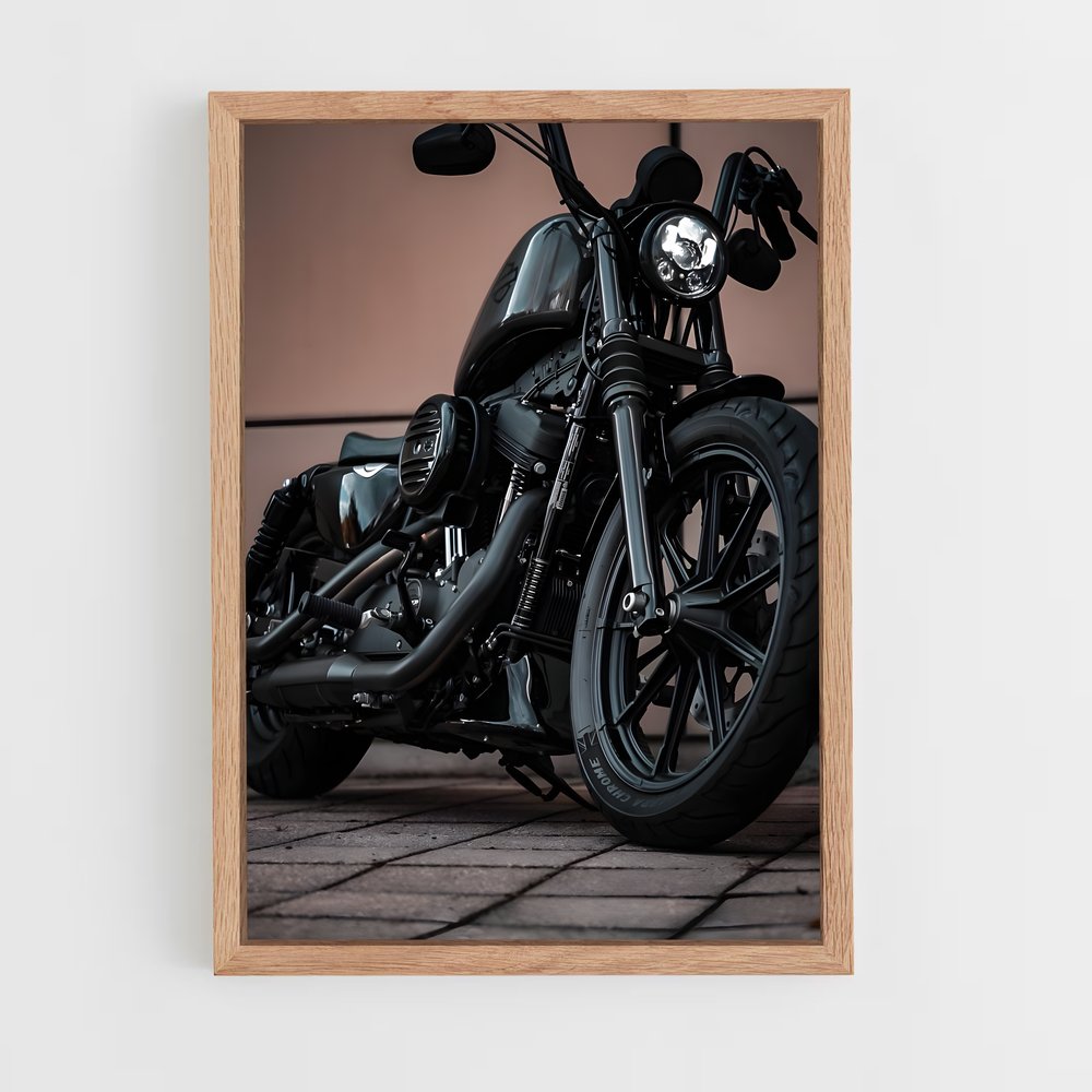 ap-sportster-7 cadre Bois clair