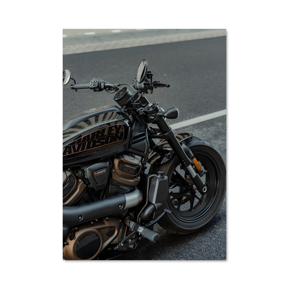 Poster Sportster s 82238