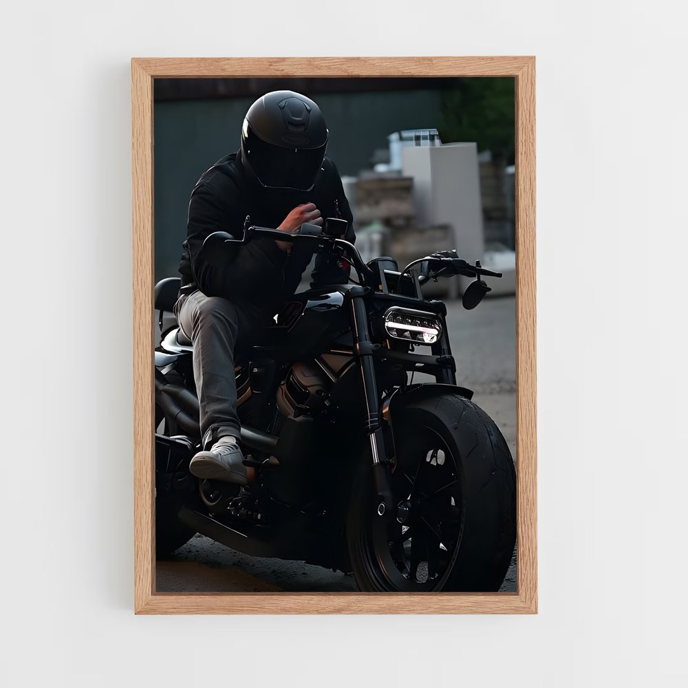 ap-sportster s-1 cadre Bois clair