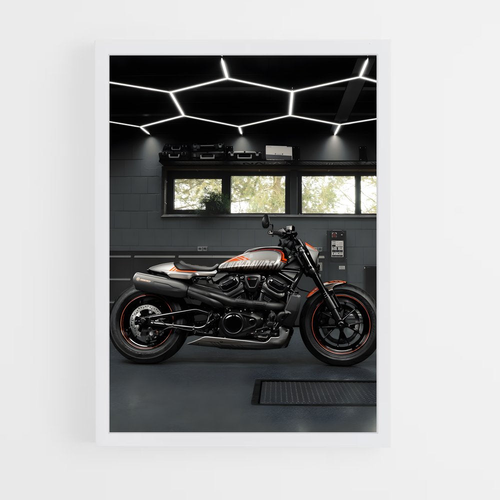 ap-sportster s-4 cadre Blanc