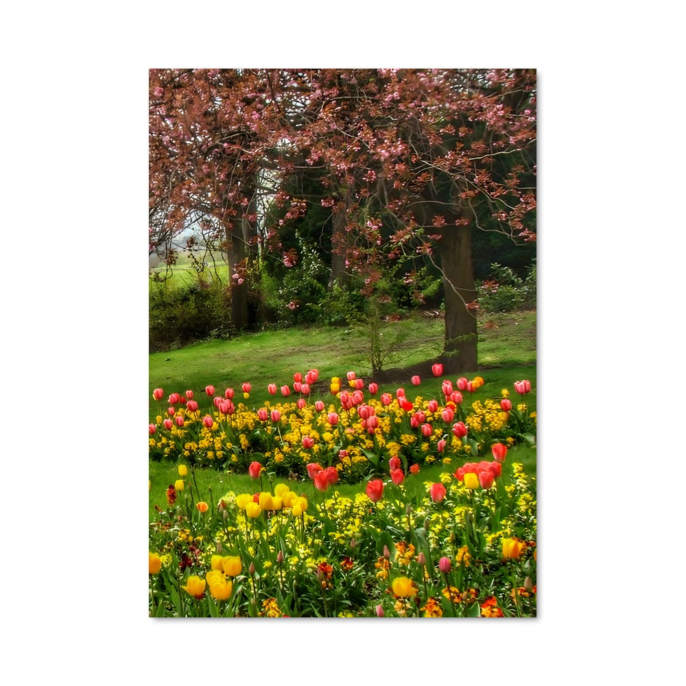 Poster Spring 97658