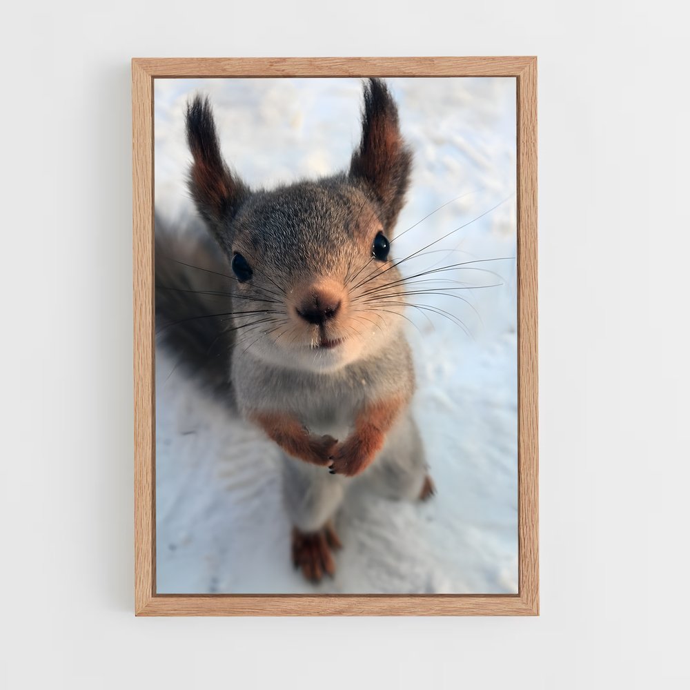 ap-squirrel-1 cadre Bois clair