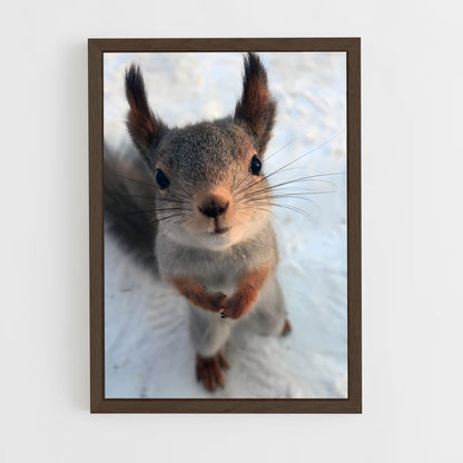 ap-squirrel-1 cadre Bois foncé