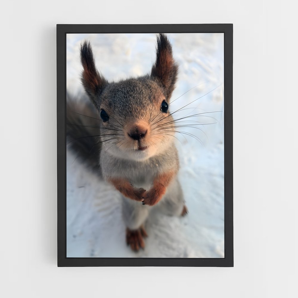 ap-squirrel-1 cadre Noir