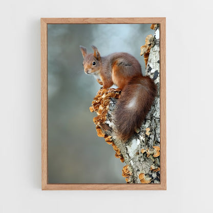 ap-squirrel-2 cadre Bois clair