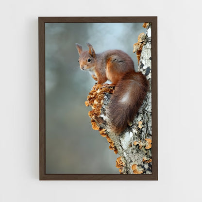 ap-squirrel-2 cadre Bois foncé