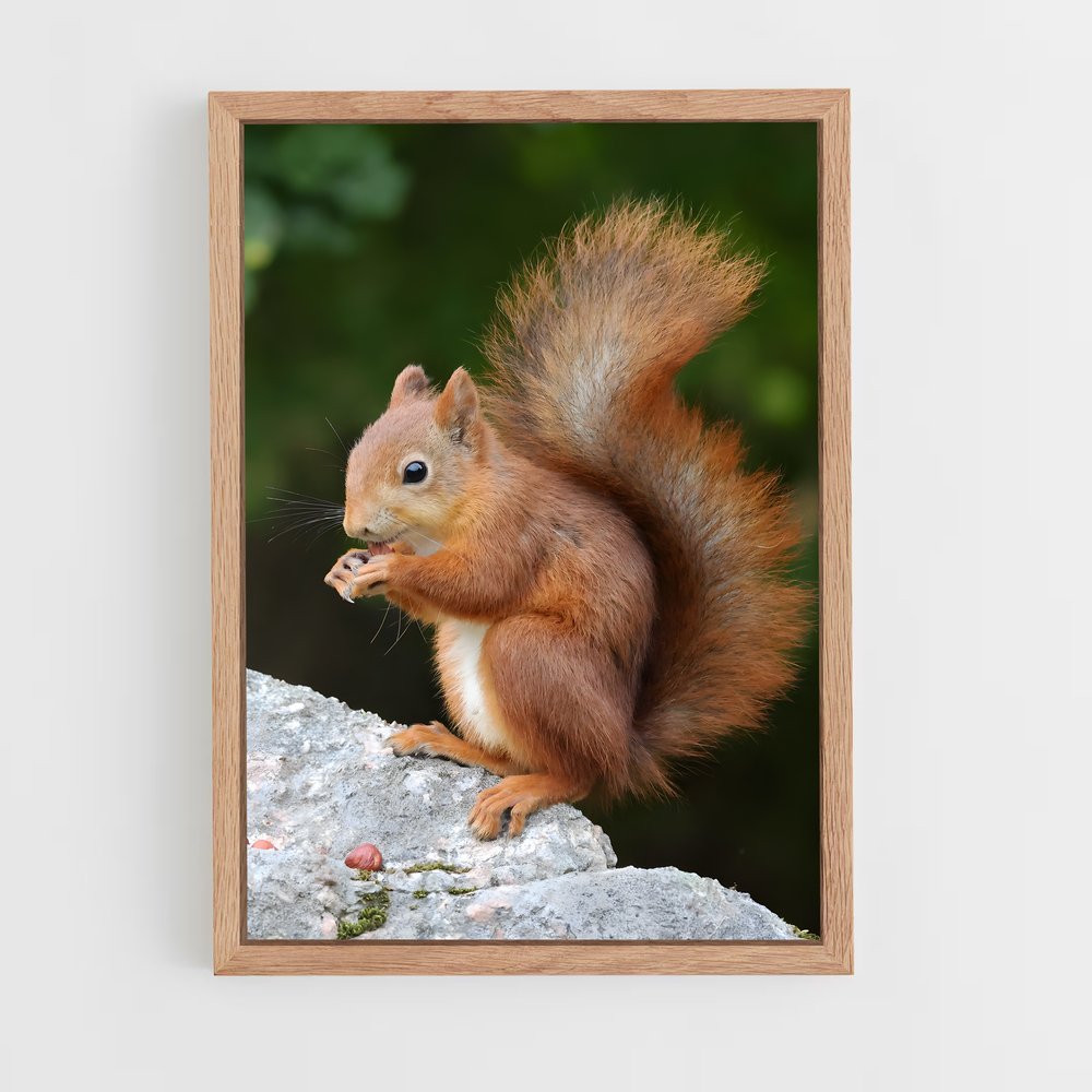 ap-squirrel-3 cadre Bois clair