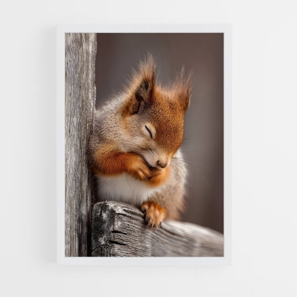 ap-squirrel-6 cadre Blanc