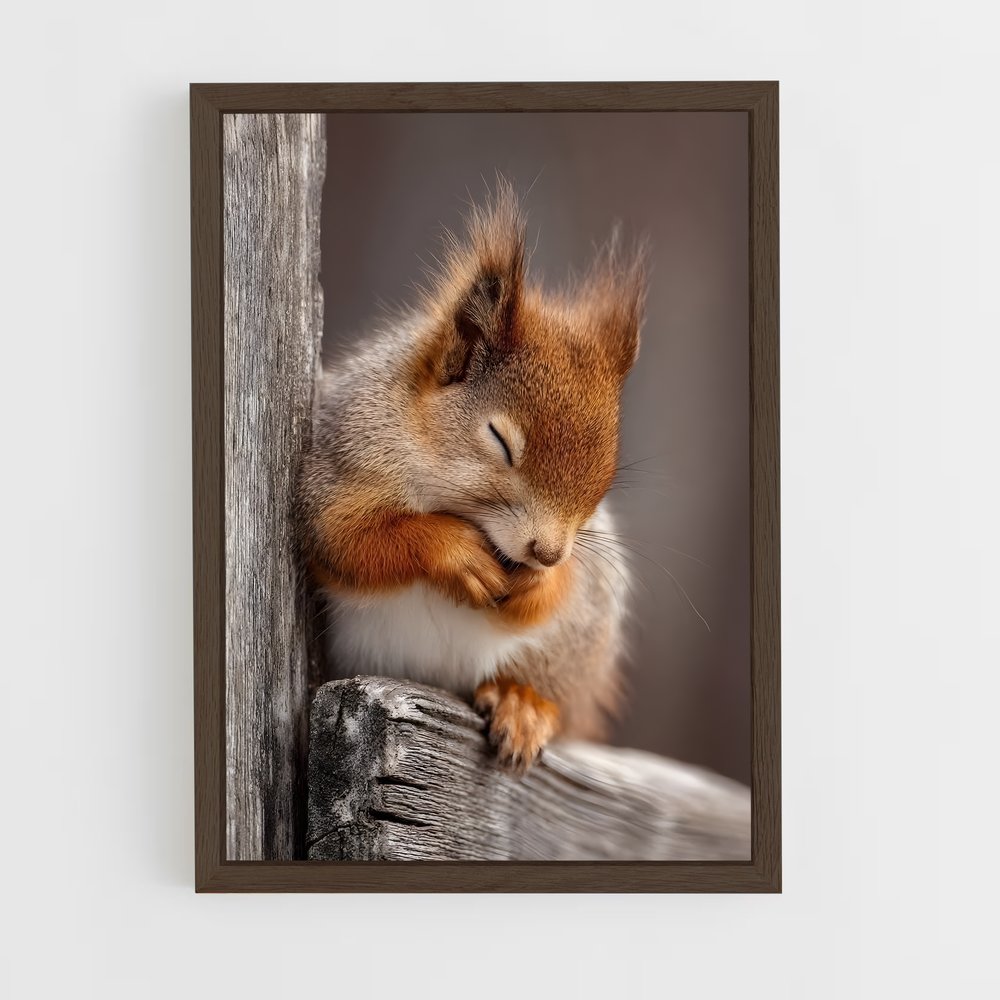 ap-squirrel-6 cadre Bois foncé