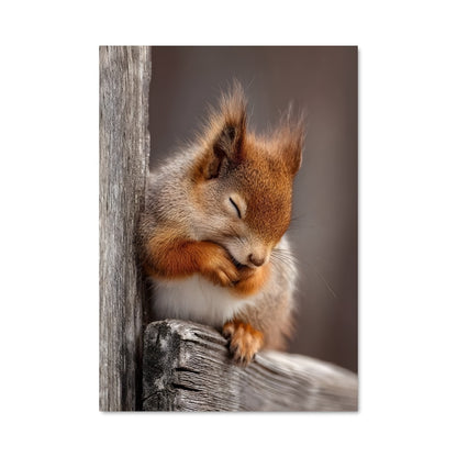 Poster Chipmunk Symphony
