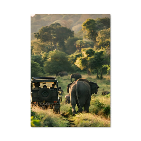 Poster Sri lanka 89299