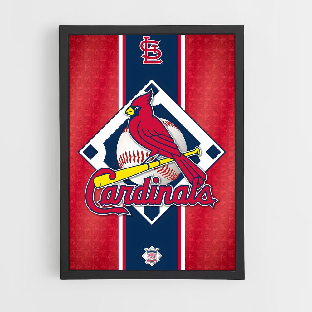 ap-st. louis cardinals-1 cadre Noir