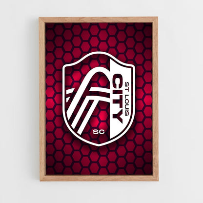 ap-st louis city sc-6 cadre Bois clair