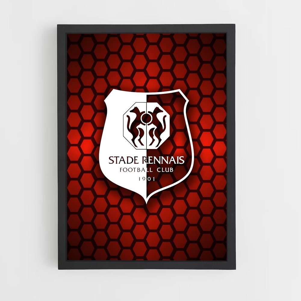 ap-stade rennais fc-5 cadre Noir