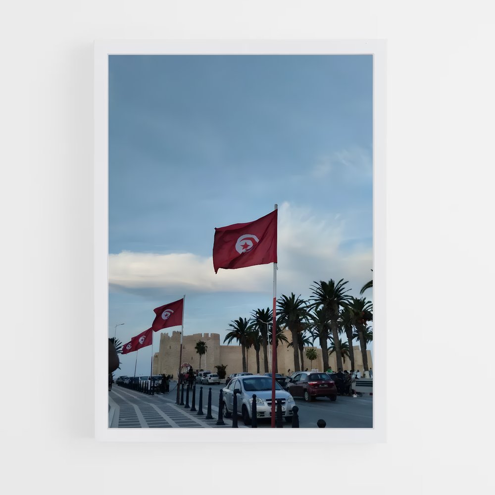 ap-stade tunisien-3 cadre Blanc