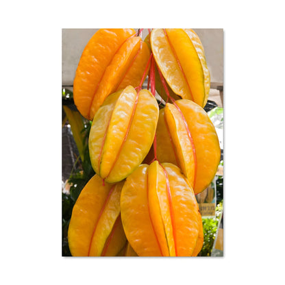 Poster Fruits du Soleil