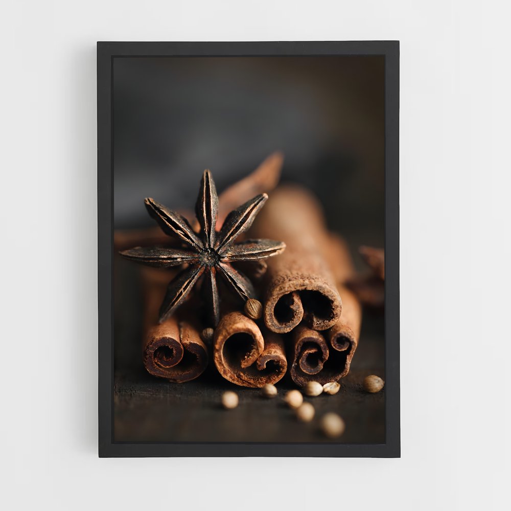 ap-star anise-2 cadre Noir