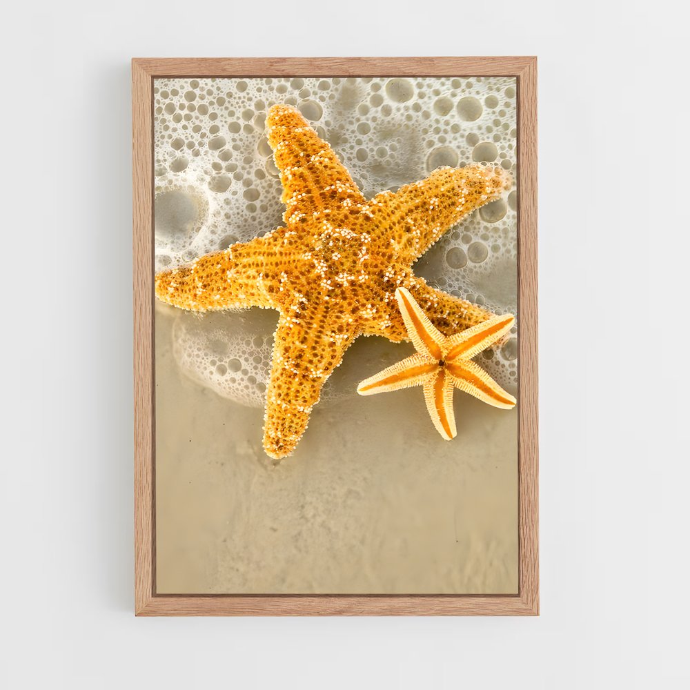 ap-starfish-5 cadre Bois clair