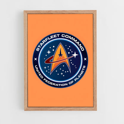 ap-starfleet logo-2 cadre Bois clair