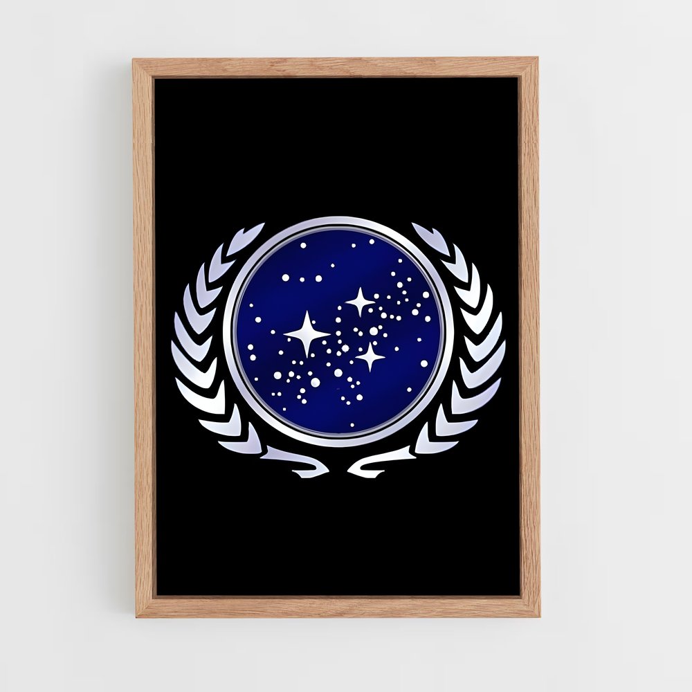 ap-starfleet logo-4 cadre Bois clair