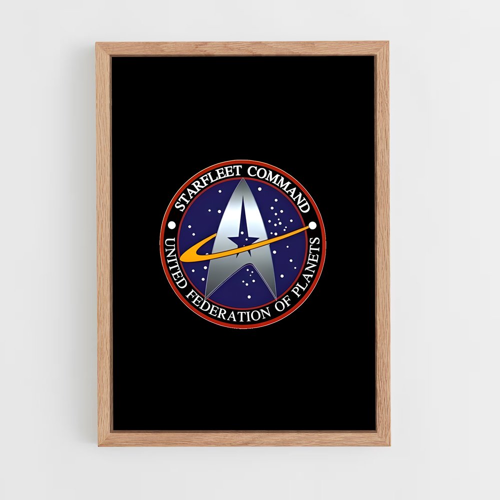 ap-starfleet logo-6 cadre Bois clair