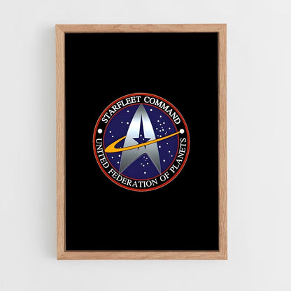 ap-starfleet logo-6 cadre Bois clair