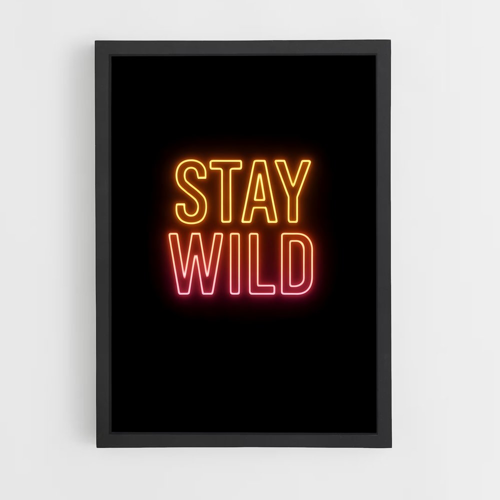 ap-stay wild-3 cadre Noir