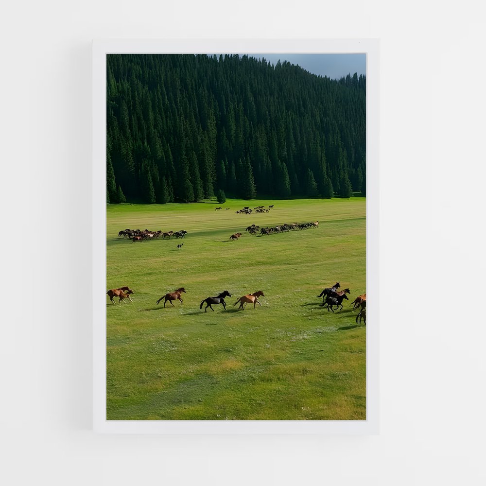 ap-steppe-1 cadre Blanc
