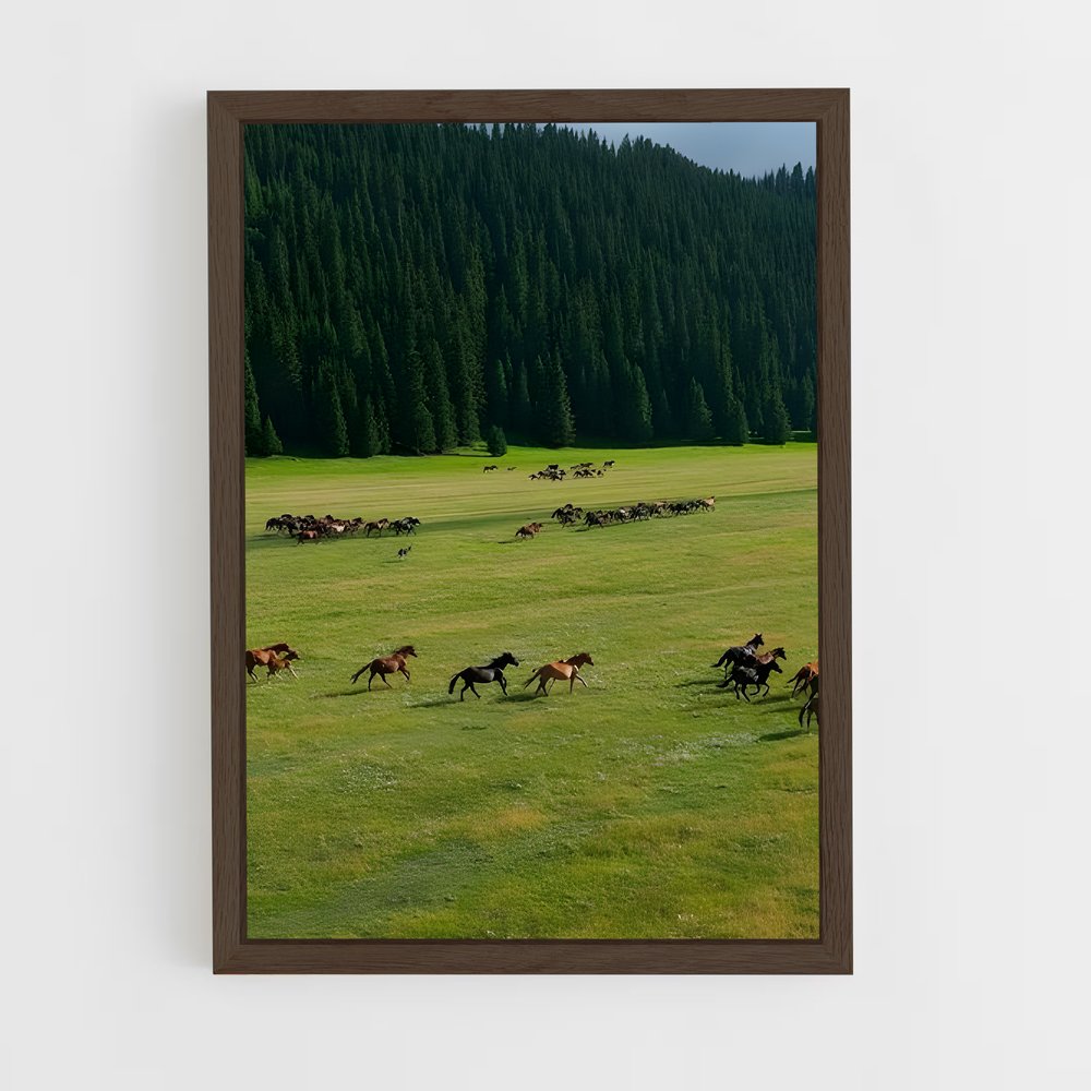 ap-steppe-1 cadre Bois foncé