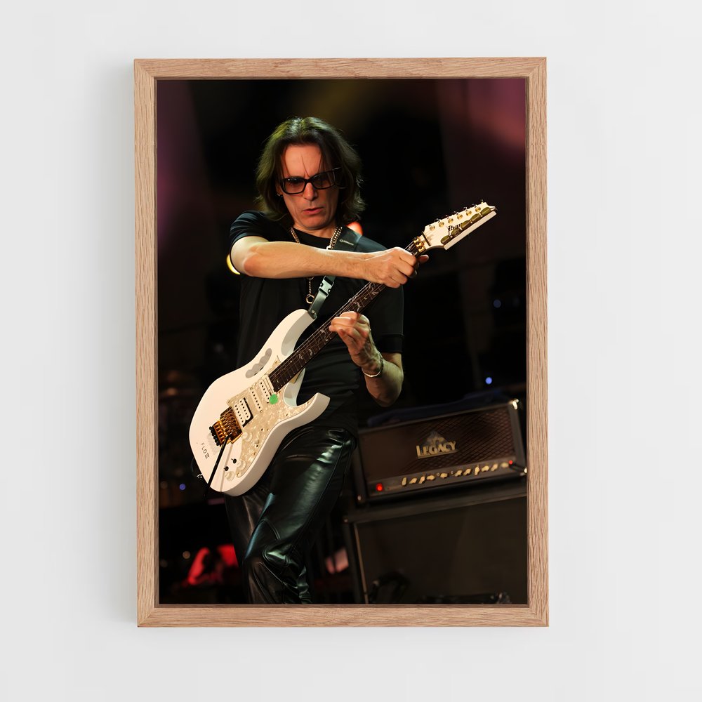 ap-steve vai-3 cadre Bois clair