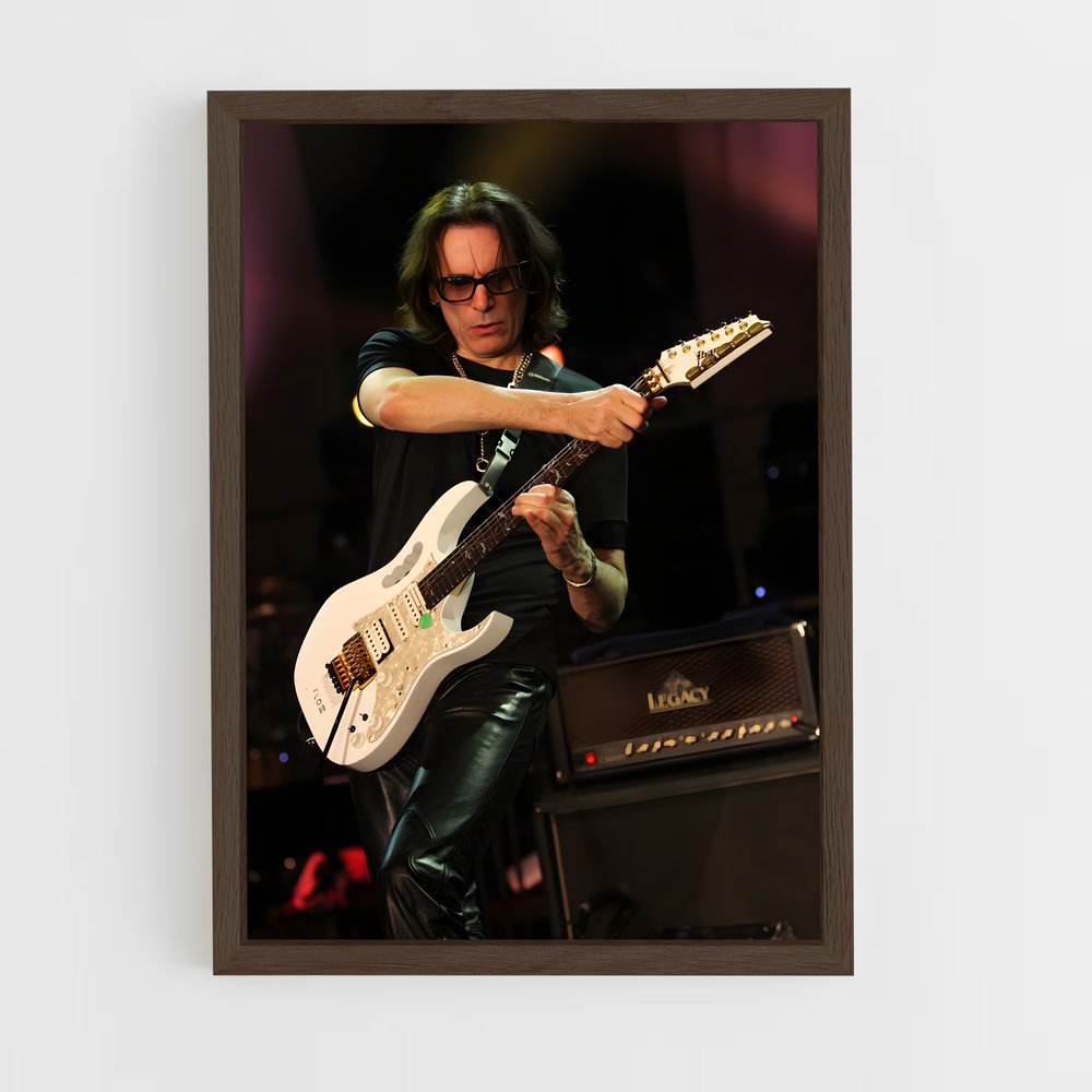 ap-steve vai-3 cadre Bois foncé