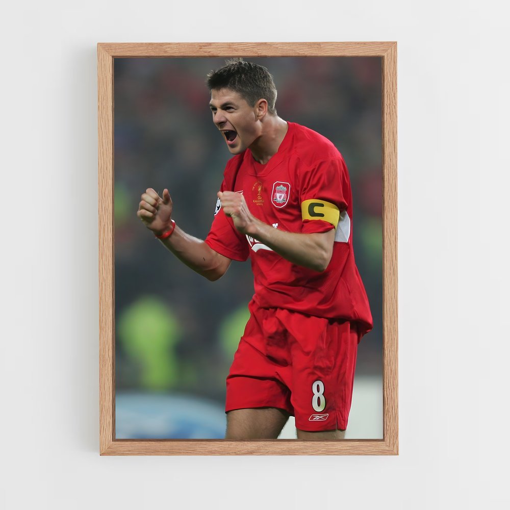 ap-steven gerrard-2 cadre Bois clair