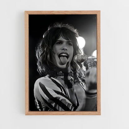 ap-steven tyler-1 cadre Bois clair