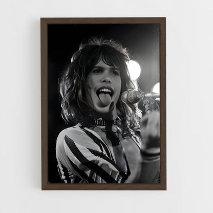 ap-steven tyler-1 cadre Bois foncé