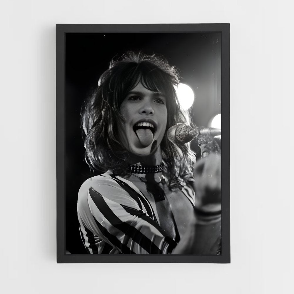 ap-steven tyler-1 cadre Noir