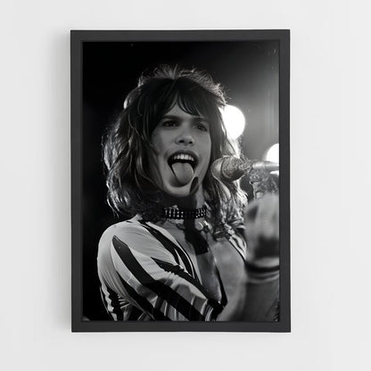 ap-steven tyler-1 cadre Noir