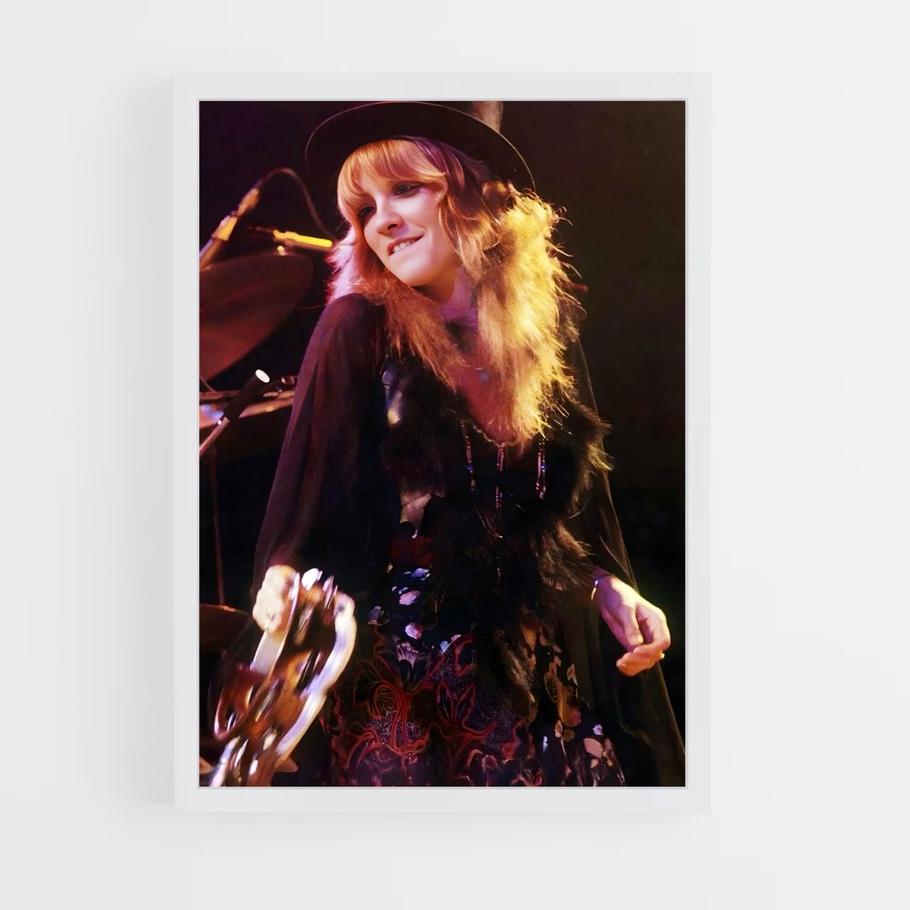 ap-stevie nicks-1 cadre Blanc