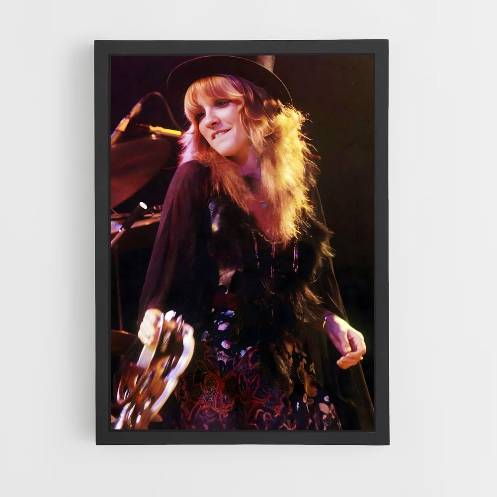 ap-stevie nicks-1 cadre Noir