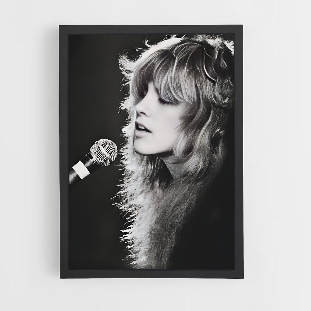 ap-stevie nicks-2 cadre Noir