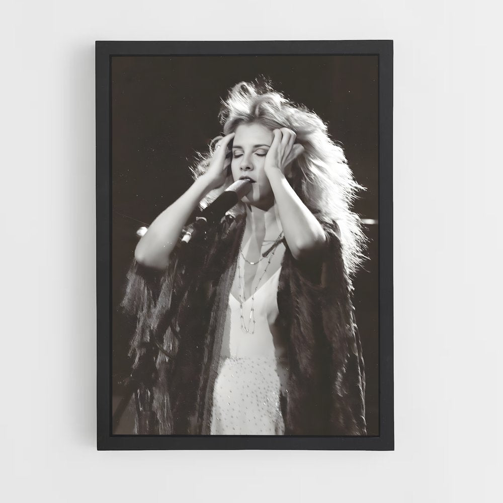 ap-stevie nicks-3 cadre Noir
