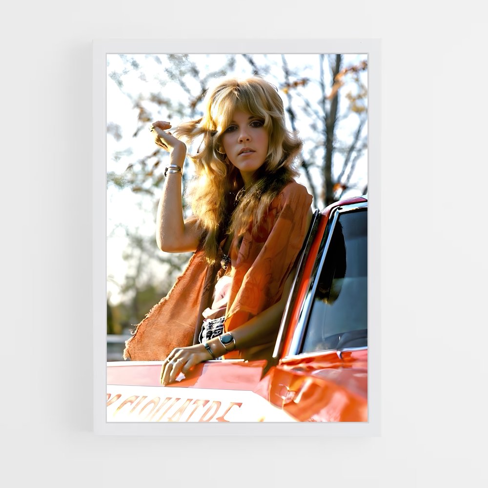 ap-stevie nicks-7 cadre Blanc