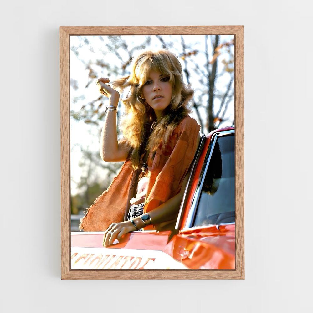 ap-stevie nicks-7 cadre Bois clair