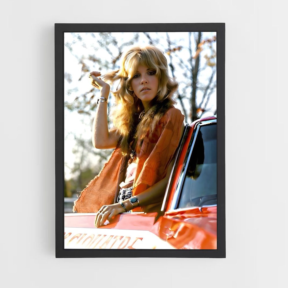 ap-stevie nicks-7 cadre Noir