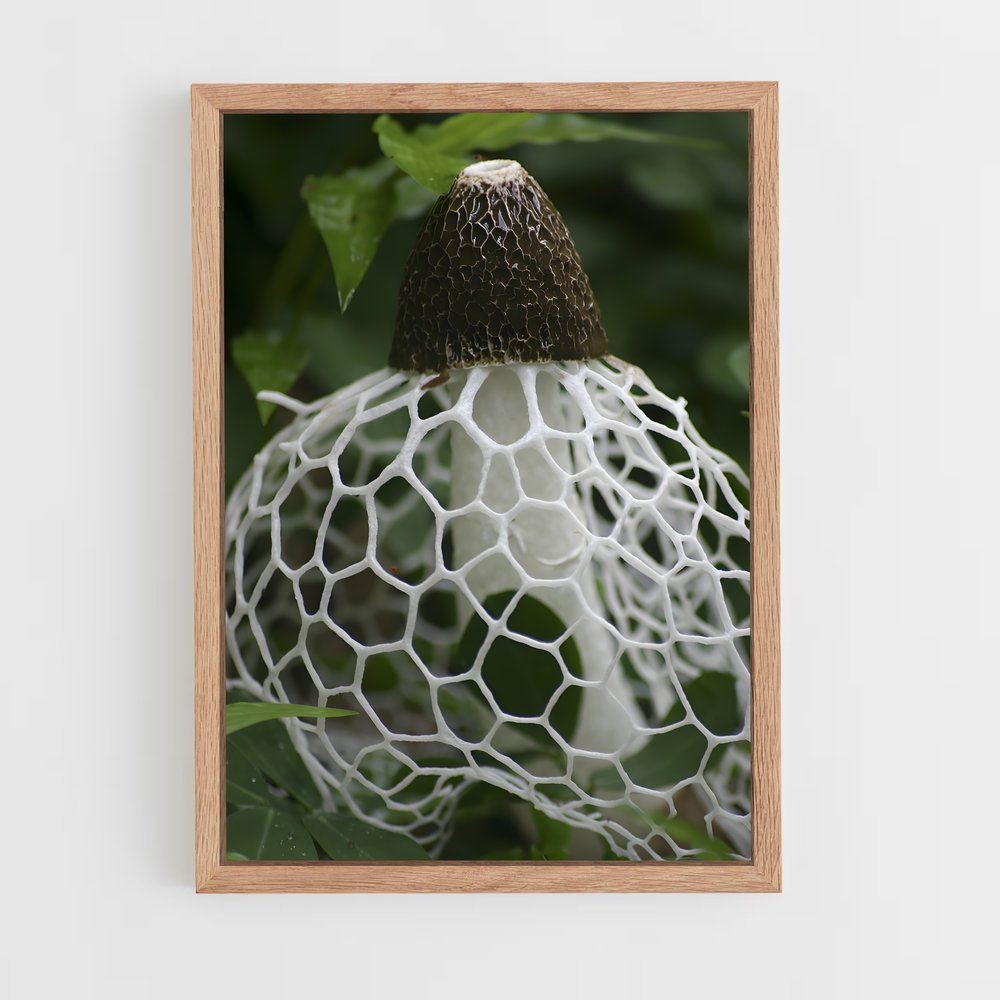 ap-stinkhorn-1 cadre Bois clair